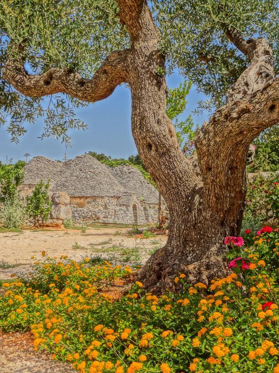Borgo Sardedda Suites Locorotondo Rum bild